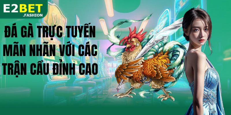 Đá gà trực tuyến mãn nhãn với các trận cầu đỉnh cao