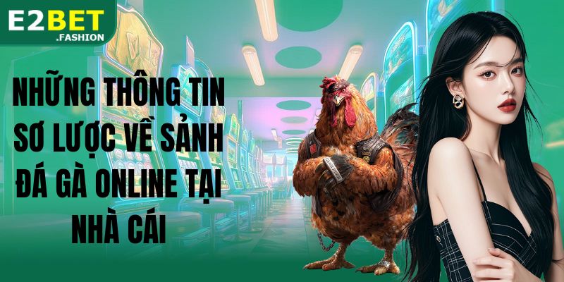 Những thông tin sơ lược về sảnh đá gà online tại nhà cái