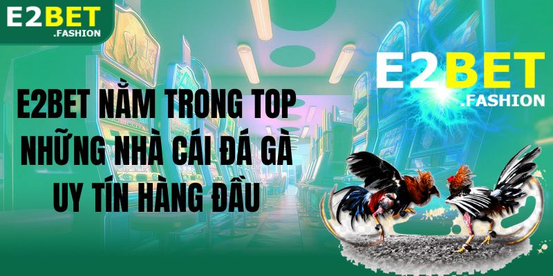 E2BET nằm trong top những nhà cái đá gà uy tín hàng đầu